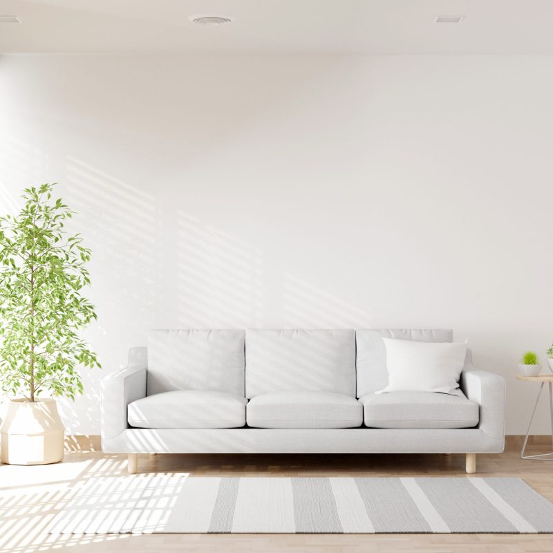 Sofa in living room interior with copy space, 3D rendering